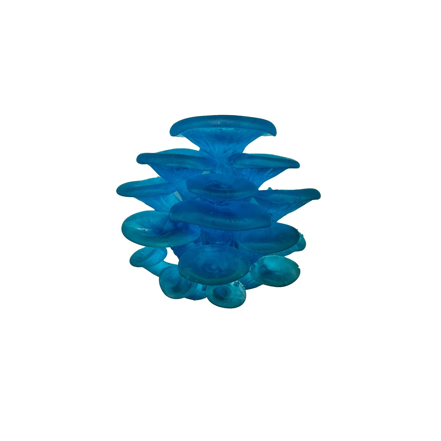 2 Pack Oyster Mushroom Crystal Blue - Wild Pet Supply