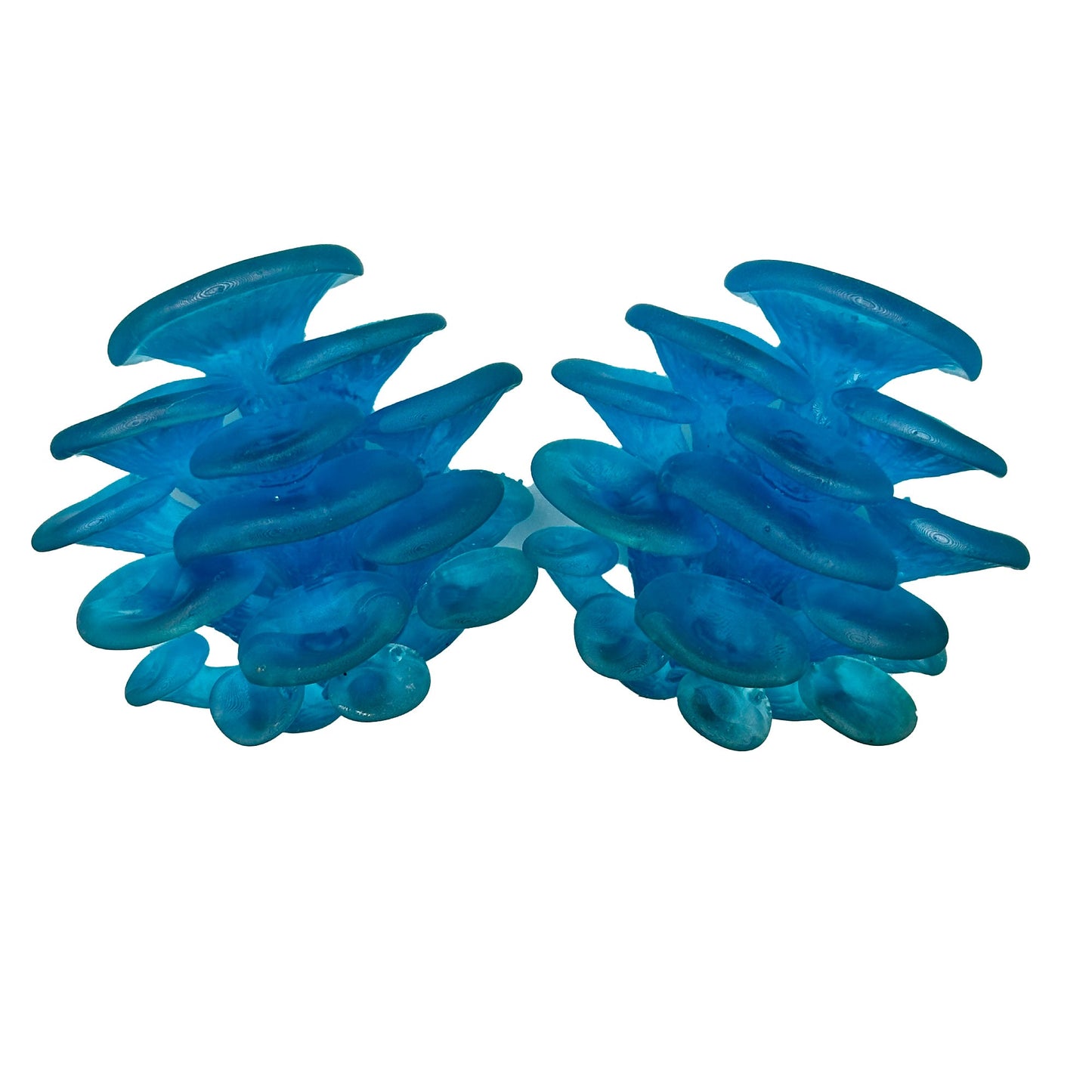 2 Pack Oyster Mushroom Crystal Blue - Wild Pet Supply