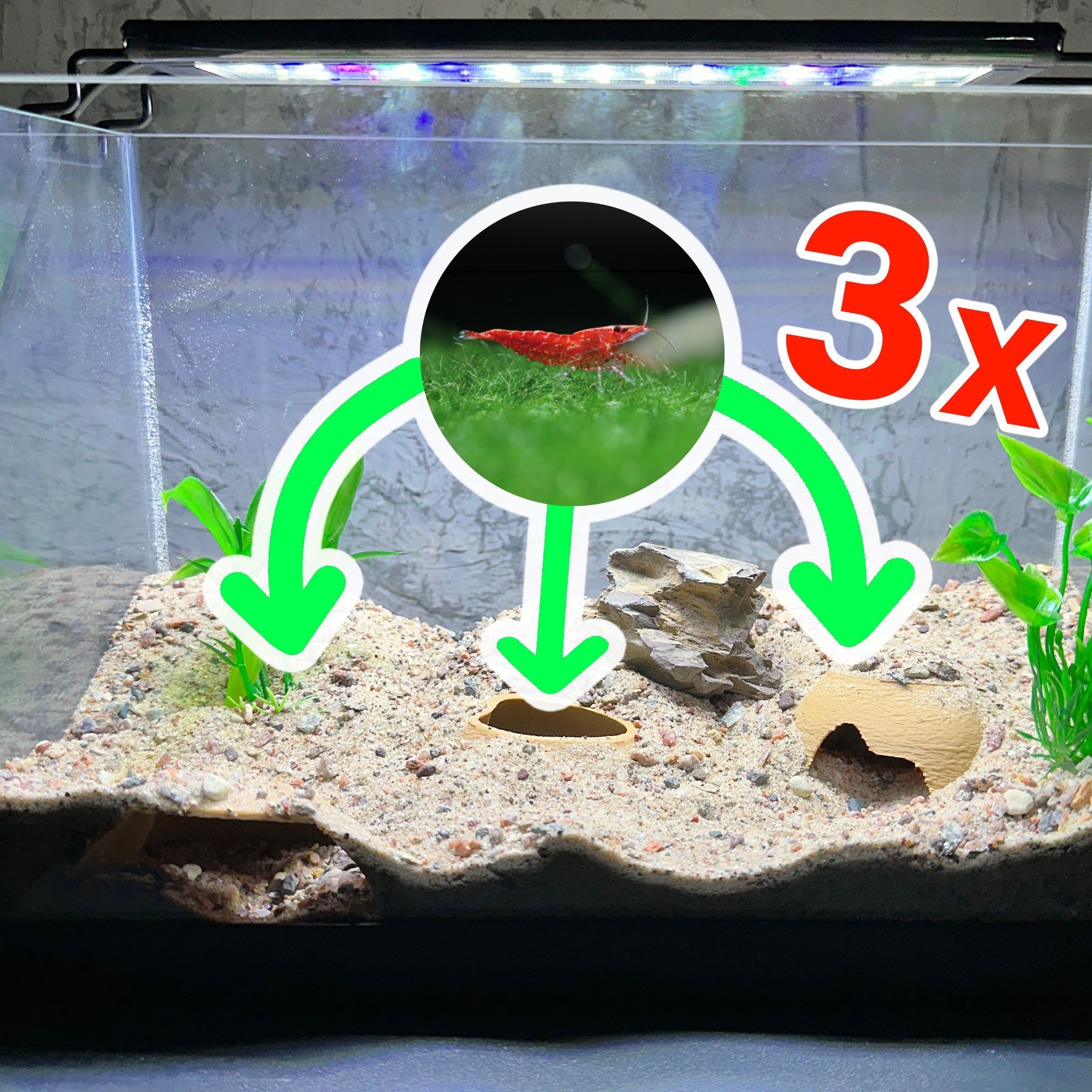 3 Pack Aquarium Tunnel Cave Hide  Aquarium Shrimp & Small Fish