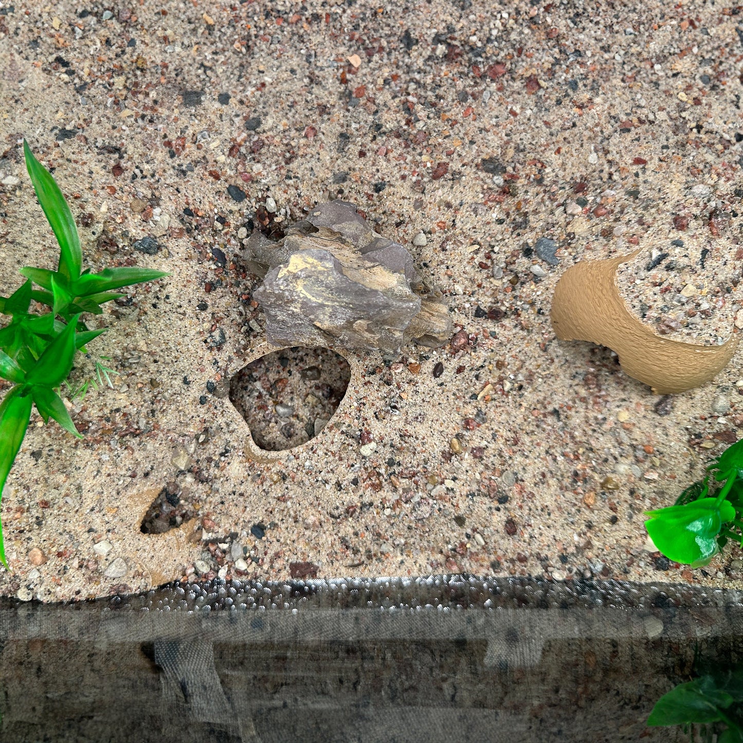 3 Pack Aquarium Tunnel Cave Hide | Aquarium Shrimp & Small Fish Hide | Fish Tank Terrarium Cave | CTWPets - Wild Pet Supply