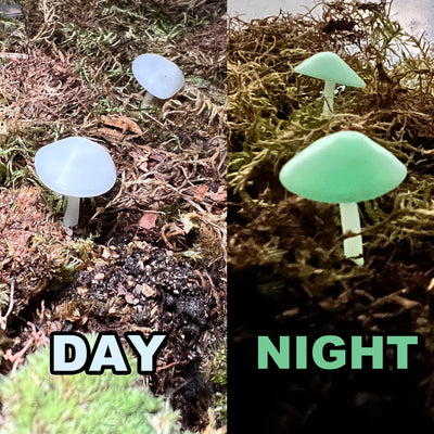 GLOW In The DARK Mushrooms | For Terrariums with Crested Geckos, Leopard Geckos, Isopods and more! 4 PACK