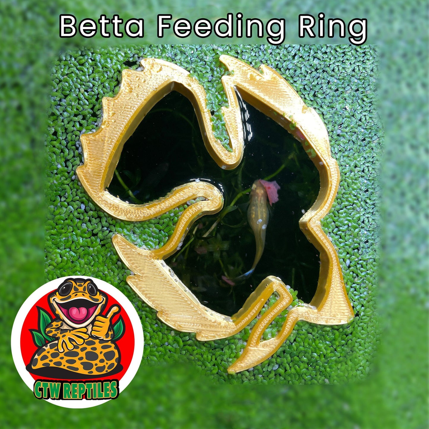 Betta Float™ Aquarium Floating Plant Guard - Original Betta Fish Floating Plant