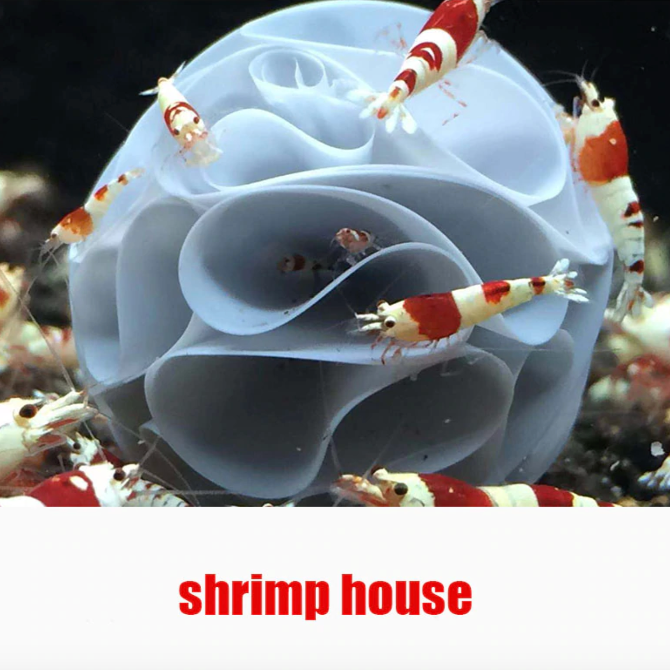 Shrimp House Moss Balls Aquatic Breeding Hiding Houses Aquarium
