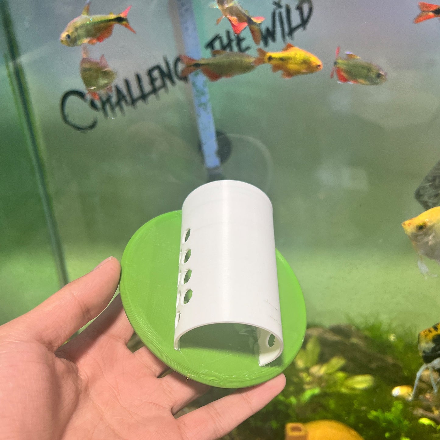 Betta Lily Pad Tube Hide - Betta Hiding and Resting Tube - Lily Pad Shape Floating Betta Fish Hide Leaf - Wild Pet Supply