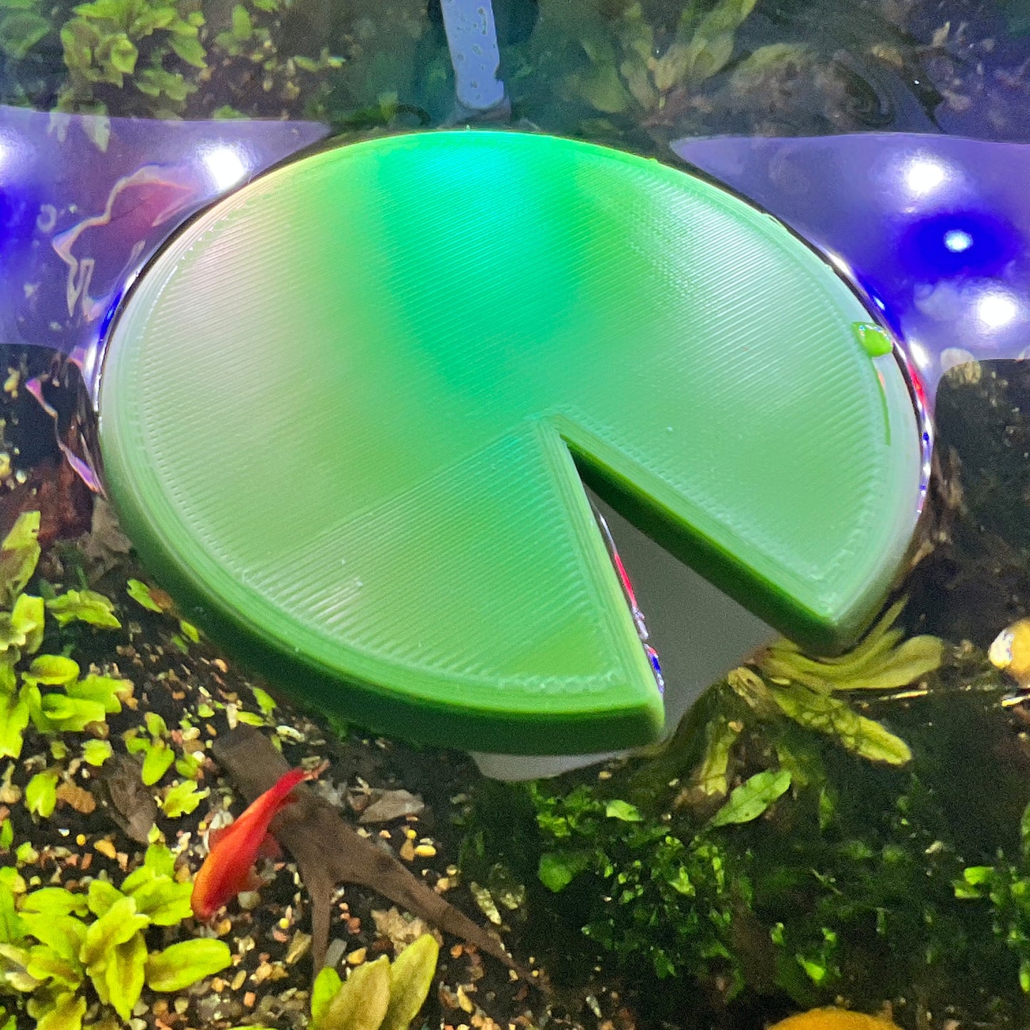 Betta Lily Pad Tube Hide - Betta Hiding and Resting Tube - Lily Pad Shape Floating Betta Fish Hide Leaf - Wild Pet Supply