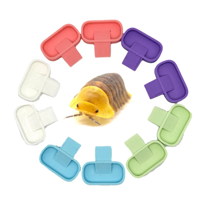 Isopod 10 Pack Feeding Dish | Isopod Food Tray | Insect Dish | Insect Feeder - Wild Pet Supply