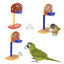 Parrot Training Basket Ball Toy - Wild Pet Supply