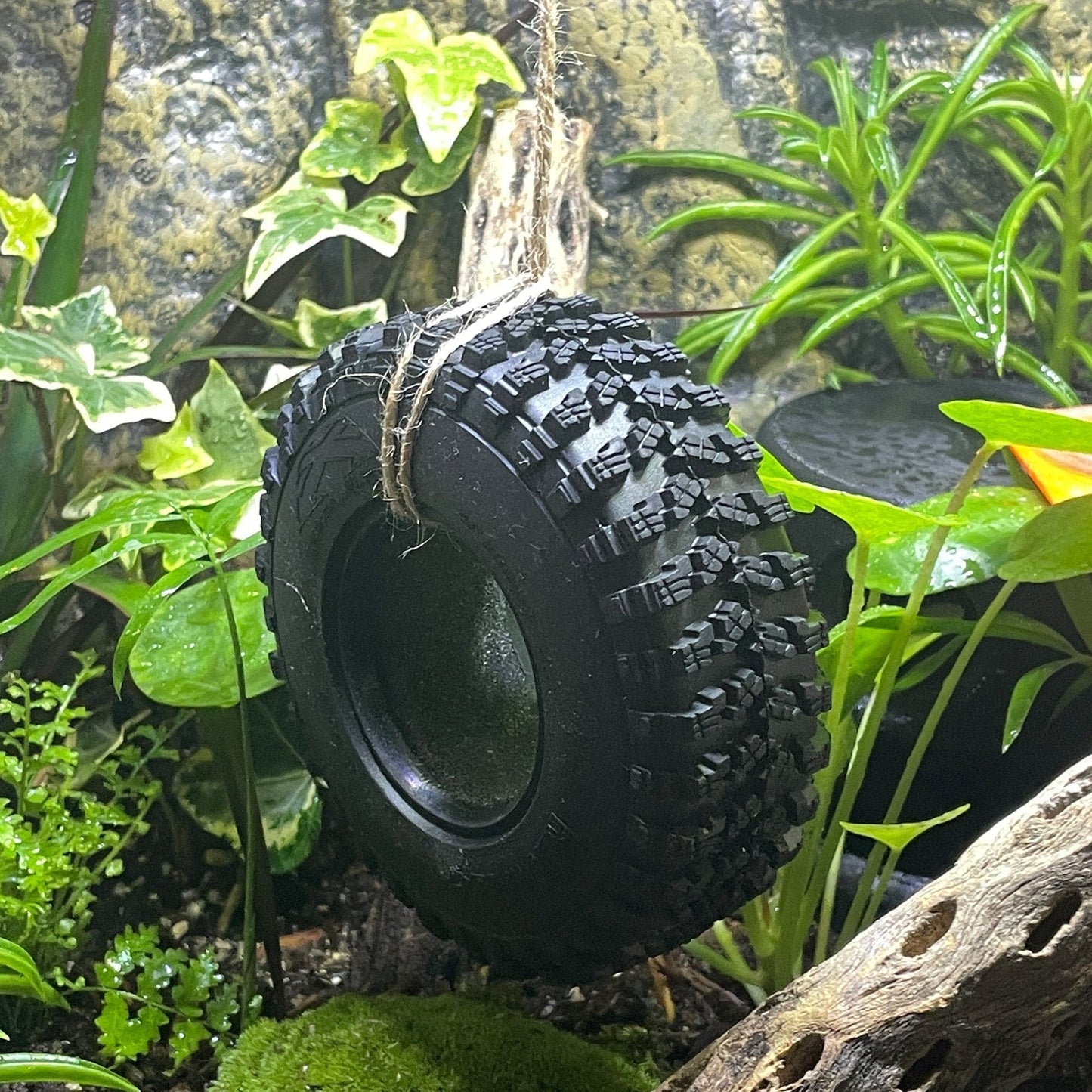 Reptile Tire Swing – Hanging Terrarium Decor - Wild Pet Supply