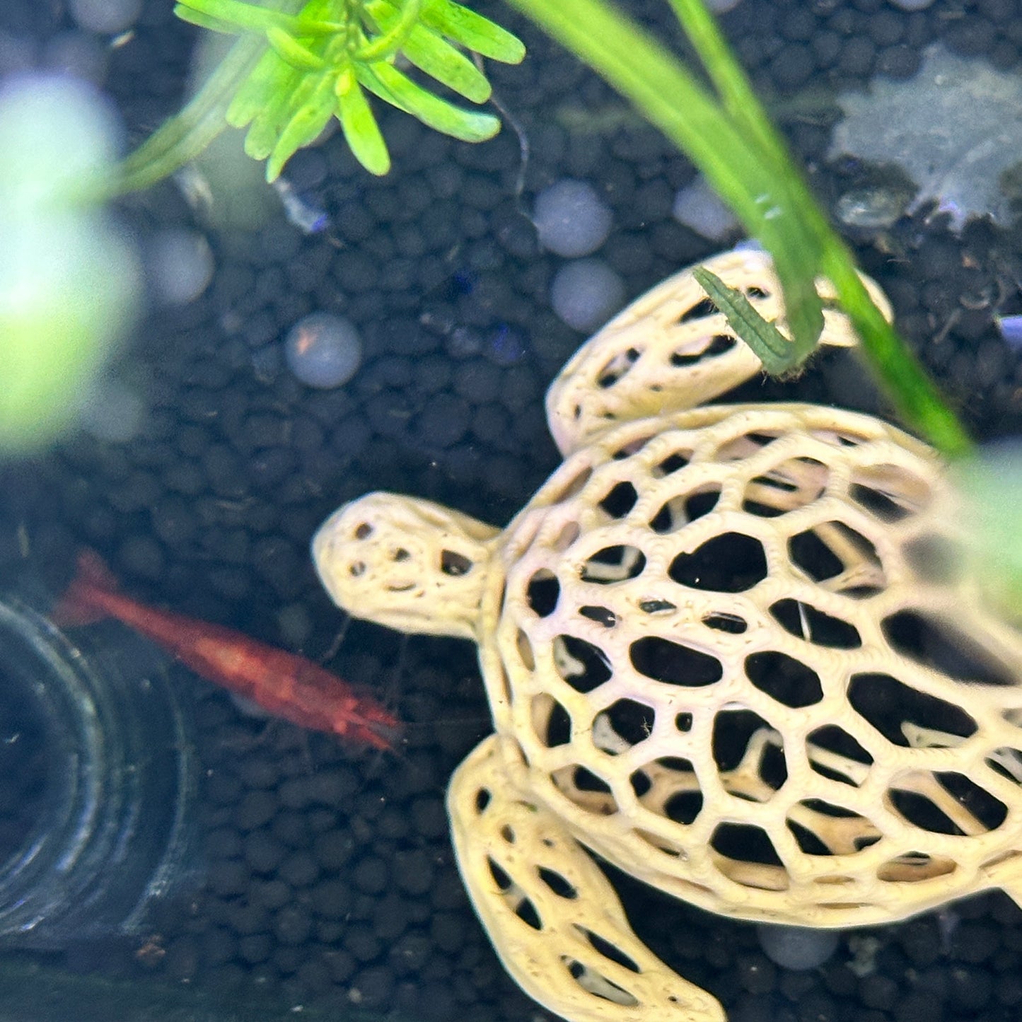 Sea Turtle Aquarium & Terrarium Decor | Nano Shrimp Hide | Fish Tank Decor Turtle - Wild Pet Supply