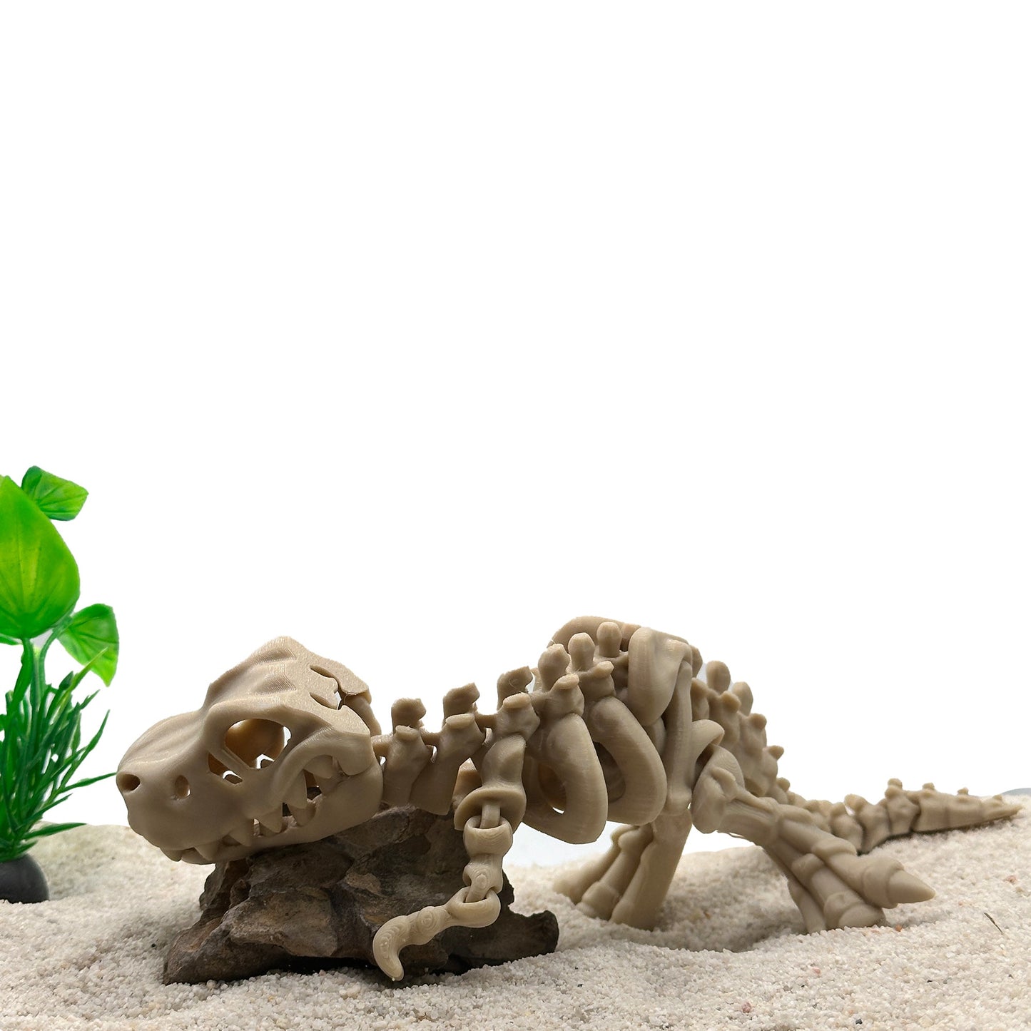 T-Rex Skeleton Decoration for Aquariums. Cave for Fish and Hideout for Shrimp Dinosaur Aquarium & Terrarium Decor - Wild Pet Supply