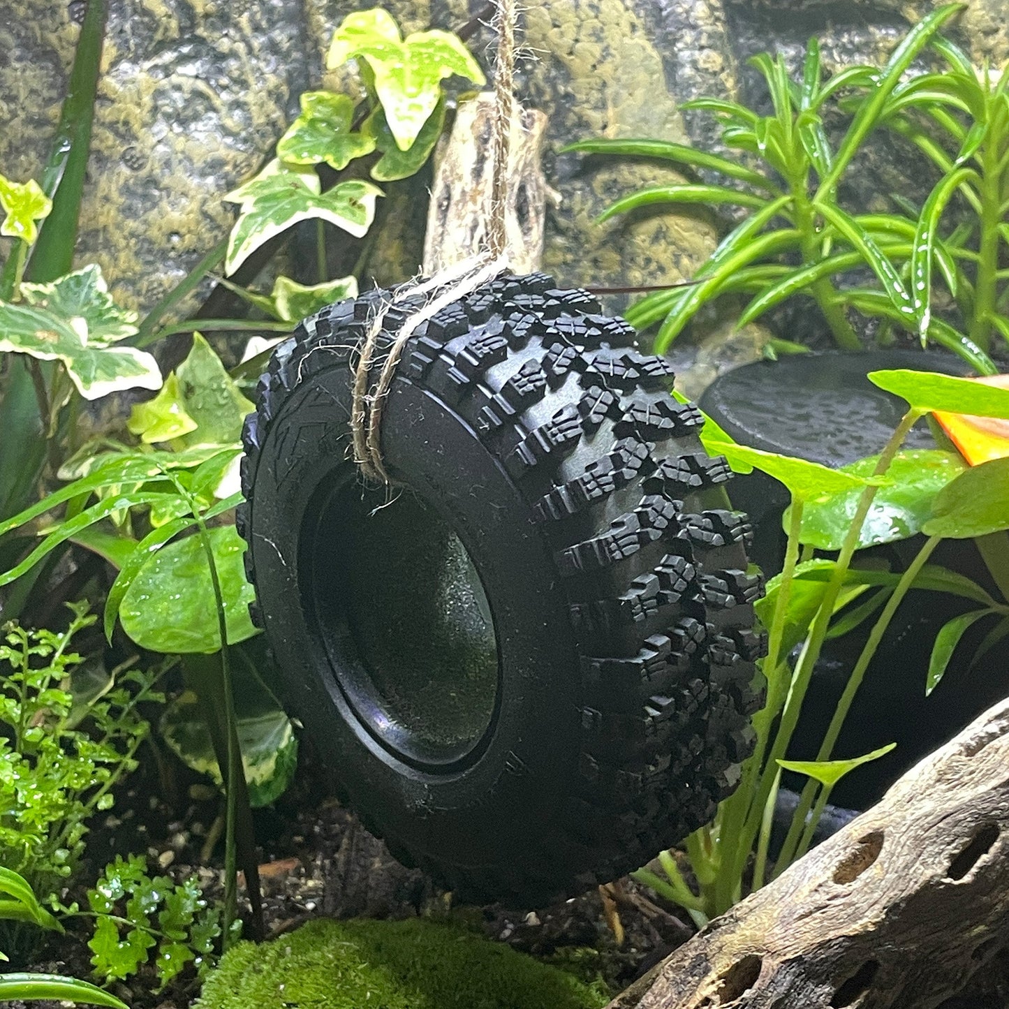 Terrarium Reptile Tire Swing Decor - Tire Swing Reptile Terrarium Decor - Crested Gecko Terrarium Decor - Wild Pet Supply