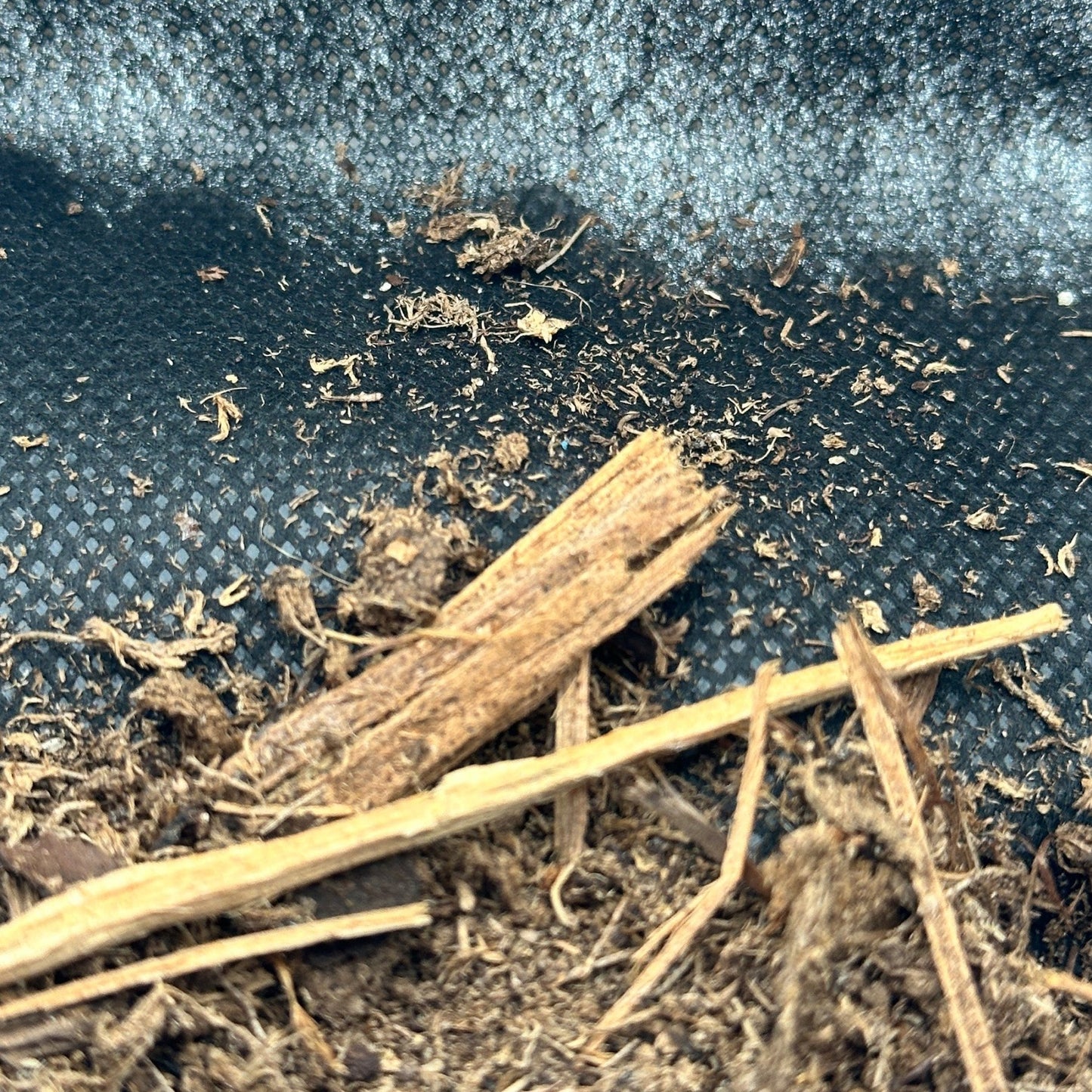 Terrarium Substrate Liner – 24x18 Mesh Sheet - Wild Pet Supply