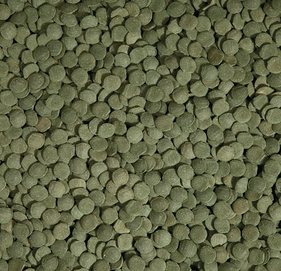 Tetra Algae Wafers - Wild Pet Supply