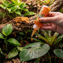 We Watched Wild Crested Geckos Eat — Then Built the First Liquid Gecko Treat
