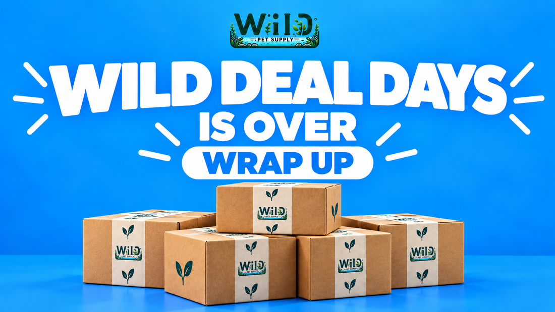 Wild Deal Days Wrap Up
