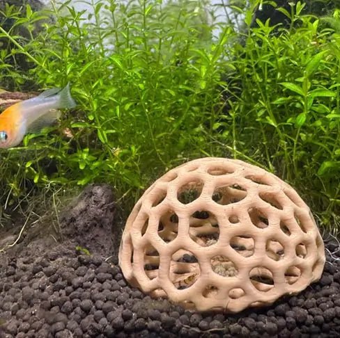 How to cycle an aquarium - Wild Pet Supply