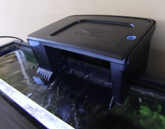 What is a HOB Aquarium? - Wild Pet Supply