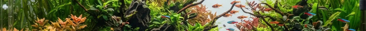 AquaBoost - Wild Pet Supply