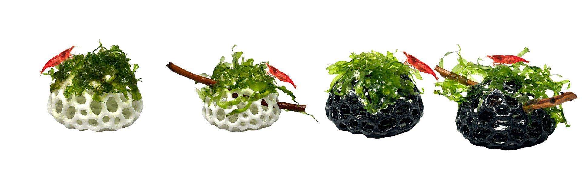 Aquarium Decor - Wild Pet Supply