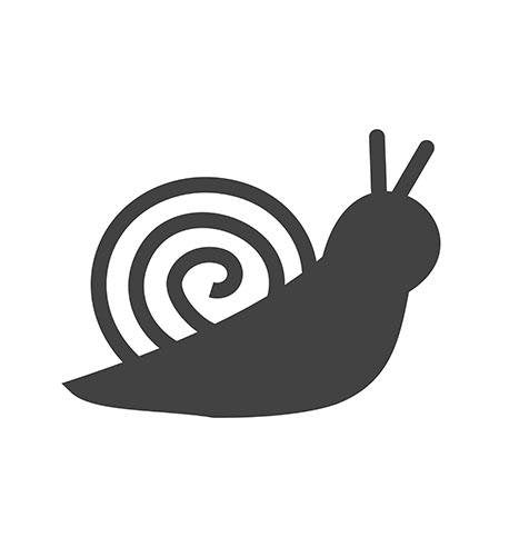 Snails | Wild Pet Supply