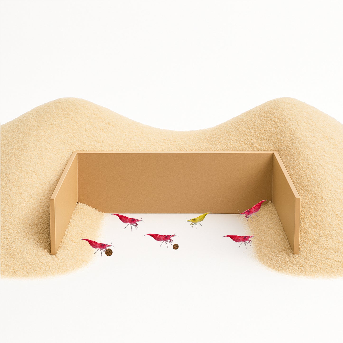 Feeding Cove Barrier – Substrate Retention Wall