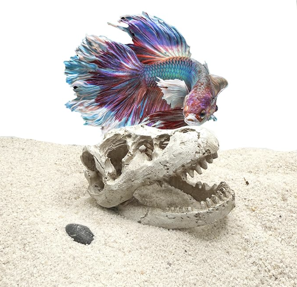 Mini T-Rex Skull Aquarium & Reptile Tank Decor – Small Dinosaur Fossil Hideout Ornament for Fish Tanks, Geckos, Hermit Crabs, and Terrariums – Resin Jurassic Decoration for Aquascape, Vivarium & Pet Habitat