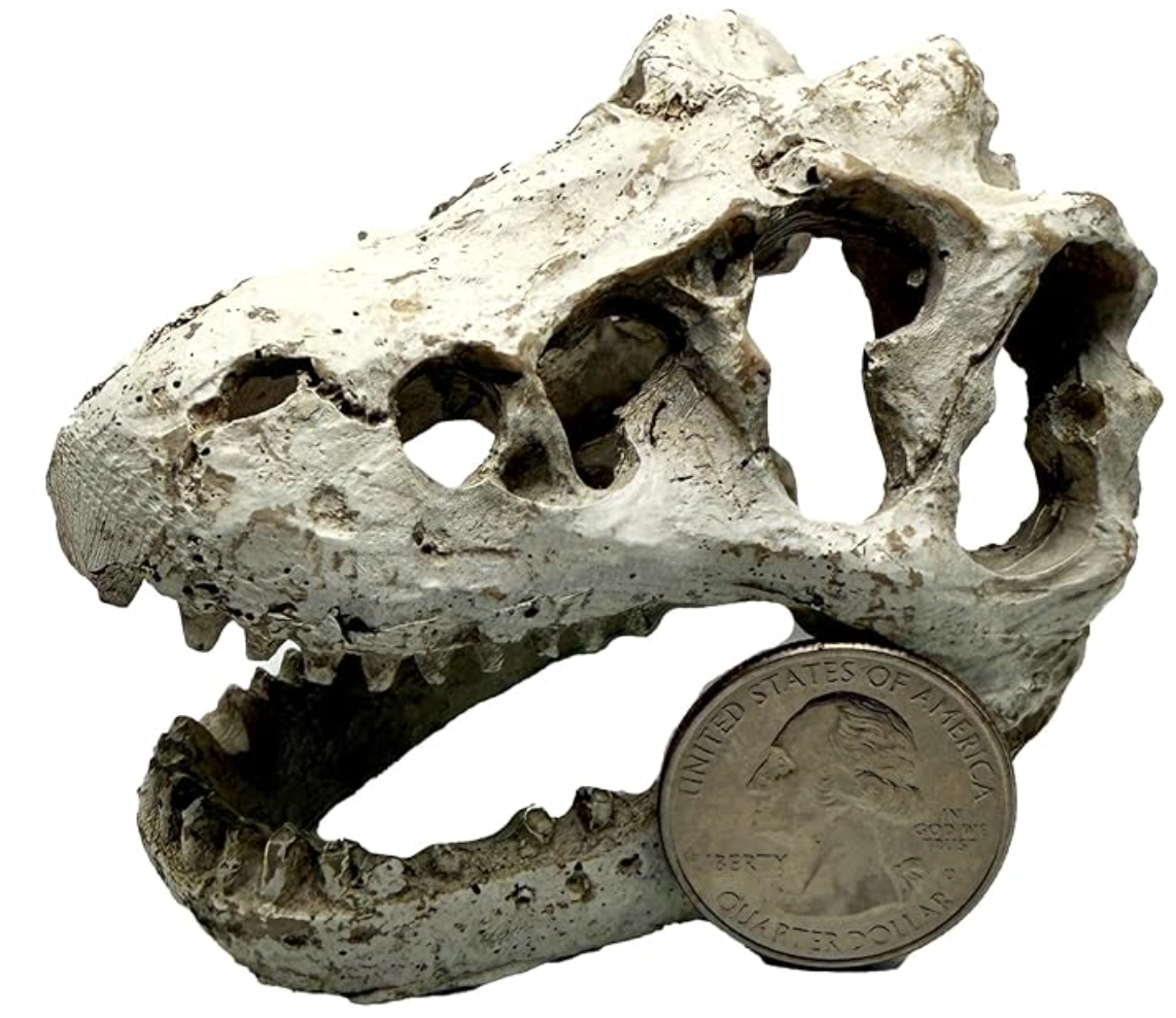 Mini T-Rex Skull Aquarium & Reptile Tank Decor – Small Dinosaur Fossil Hideout Ornament for Fish Tanks, Geckos, Hermit Crabs, and Terrariums – Resin Jurassic Decoration for Aquascape, Vivarium & Pet Habitat