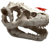 Mini T-Rex Skull Aquarium & Reptile Tank Decor – Small Dinosaur Fossil Hideout Ornament for Fish Tanks, Geckos, Hermit Crabs, and Terrariums – Resin Jurassic Decoration for Aquascape, Vivarium & Pet Habitat