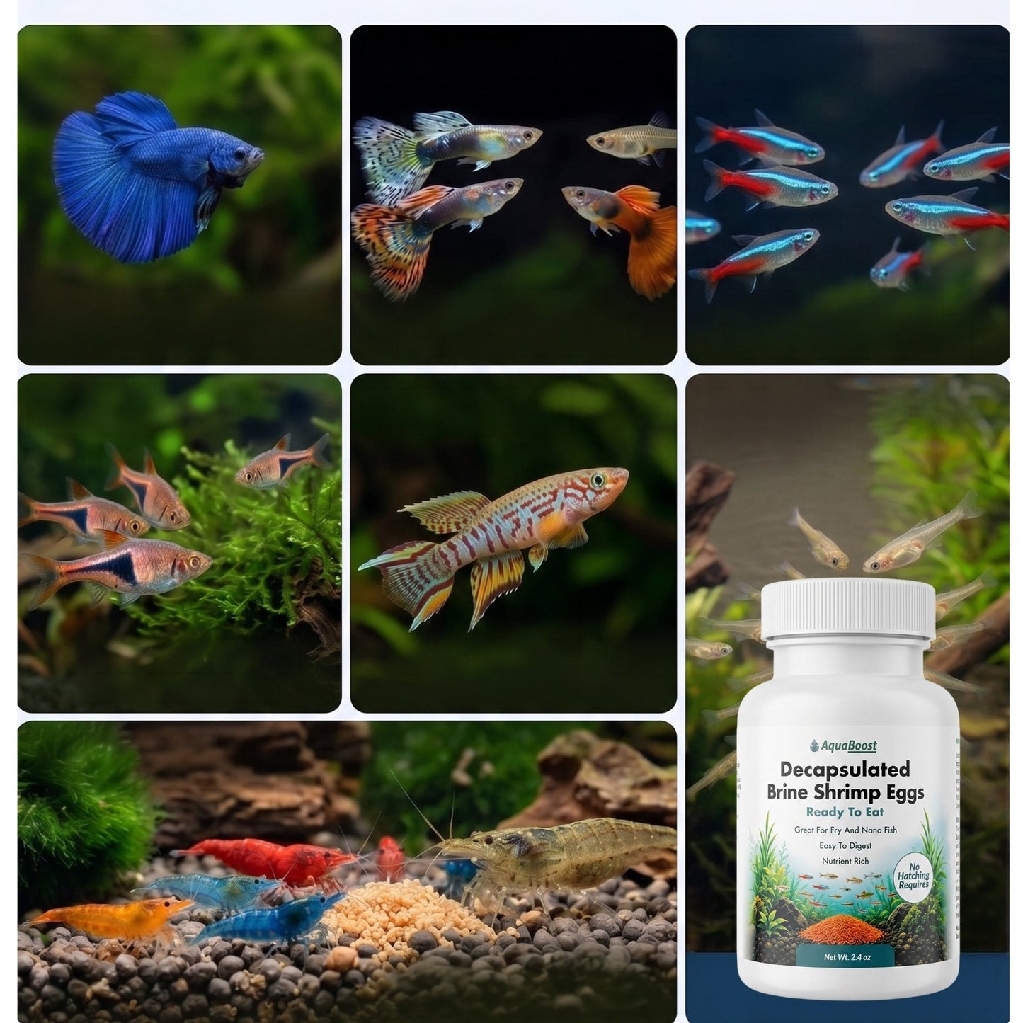 AquaBoost Decapsulated Brine Shrimp – 2.4oz - Wild Pet Supply