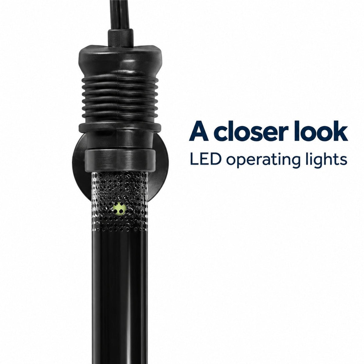 Aquarium Heater 150 Watt - Wild Pet Supply