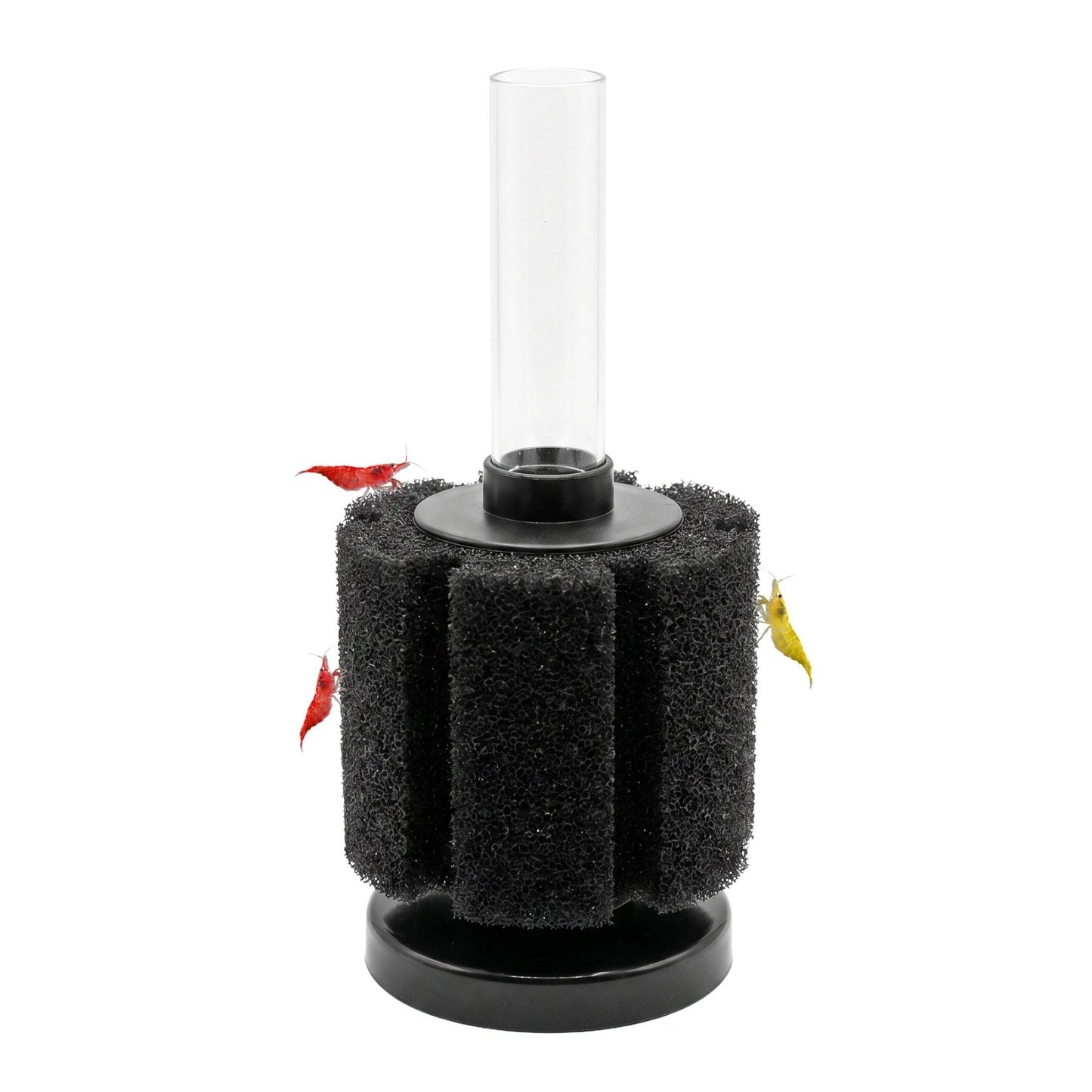 Aquarium Sponge Filter | Fine Pore - Wild Pet Supply
