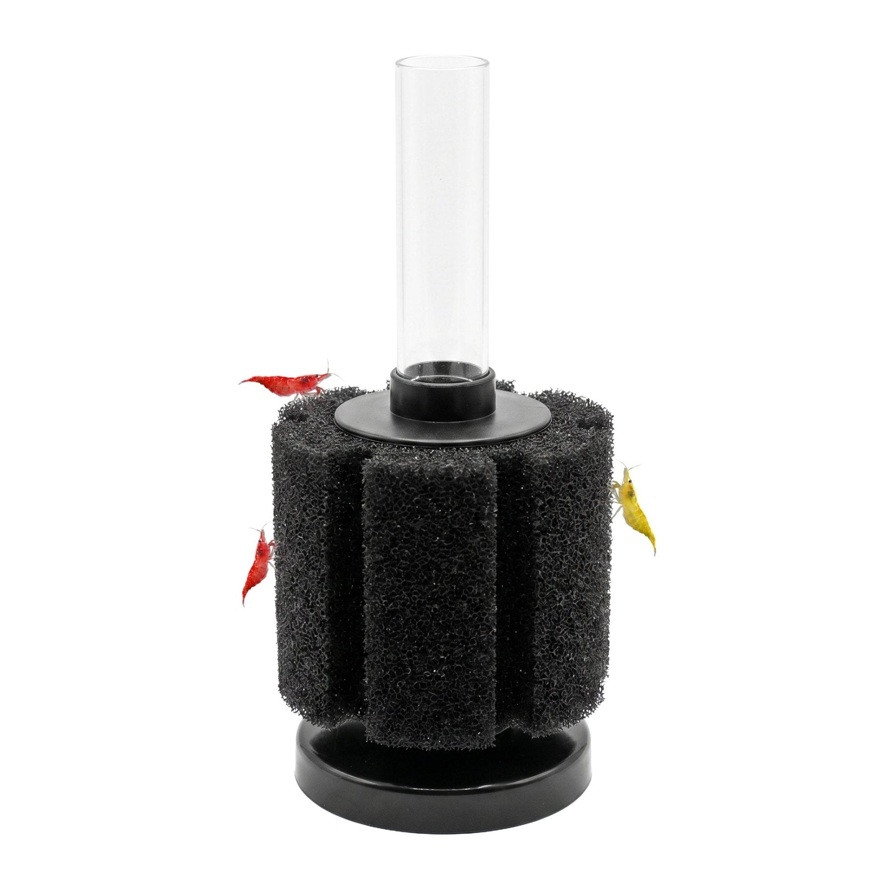 Aquarium Sponge Filter | Fine Pore - Wild Pet Supply