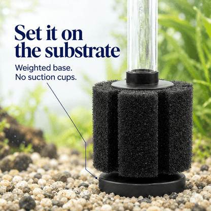Aquarium Sponge Filter | Fine Pore - Wild Pet Supply