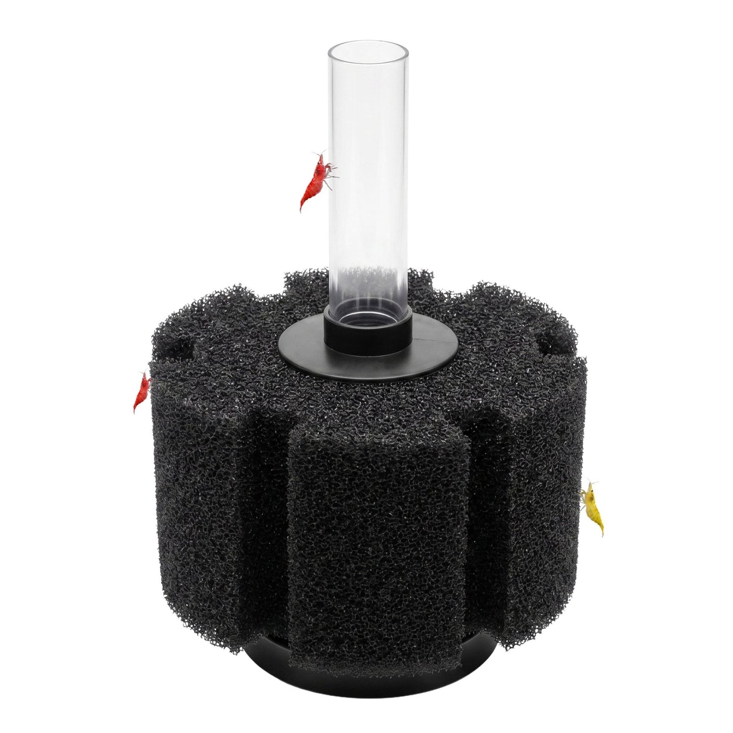 Aquarium Sponge Filter | Fine Pore - Wild Pet Supply