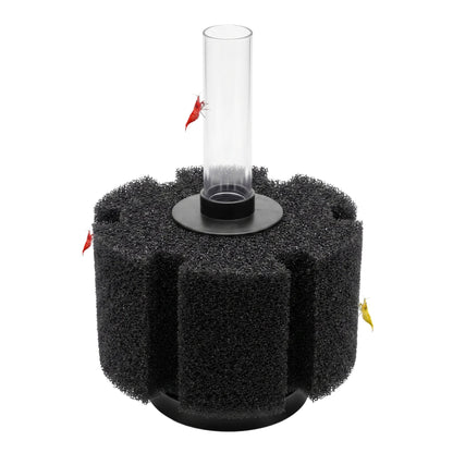 Aquarium Sponge Filter | Fine Pore - Wild Pet Supply