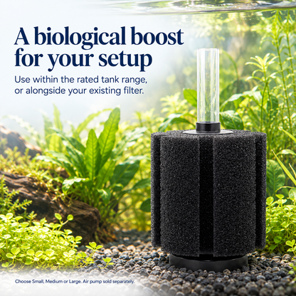 Aquarium Sponge Filter | Fine Pore - Wild Pet Supply