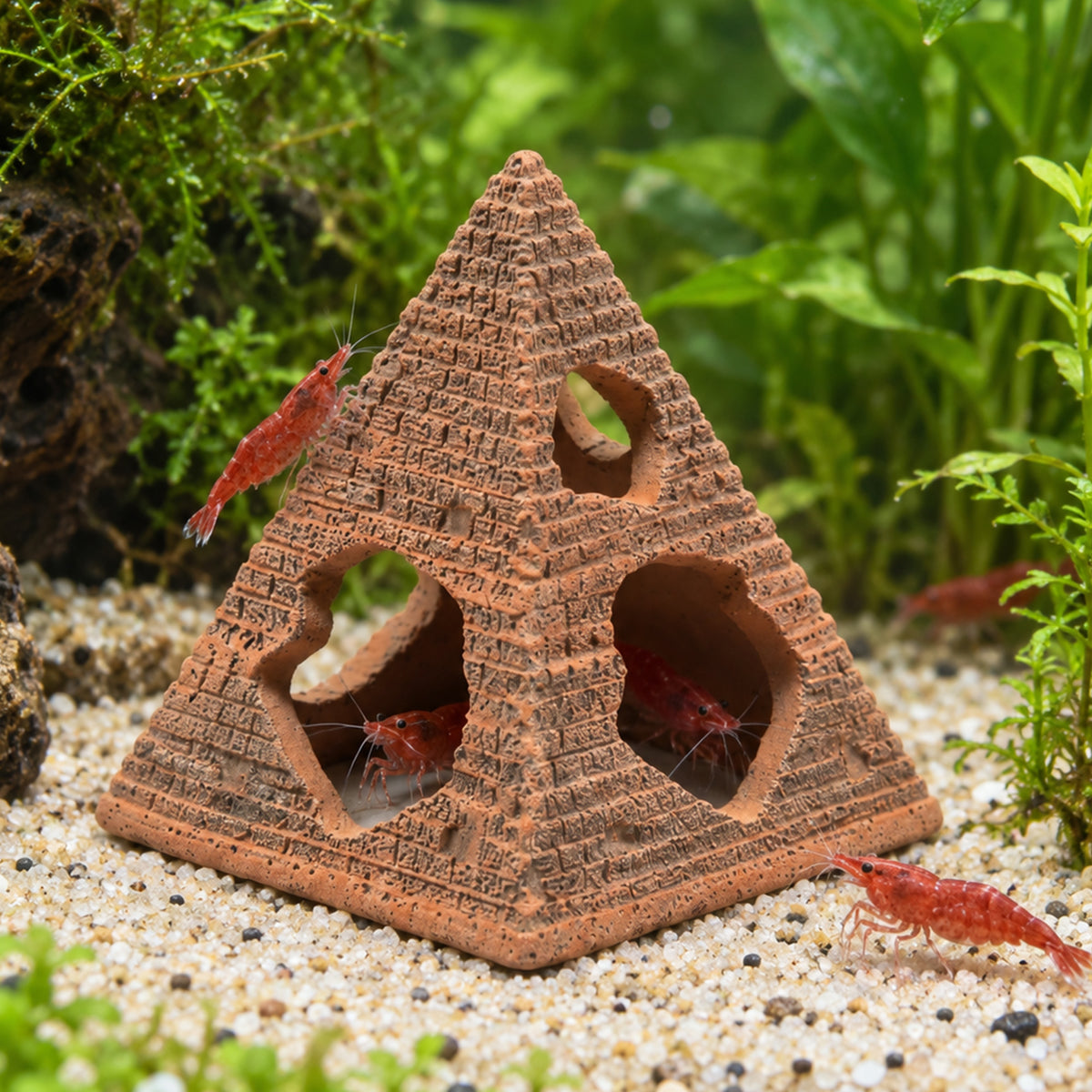 Shrimp Pyramid Hide – 3.2 Inch Cave
