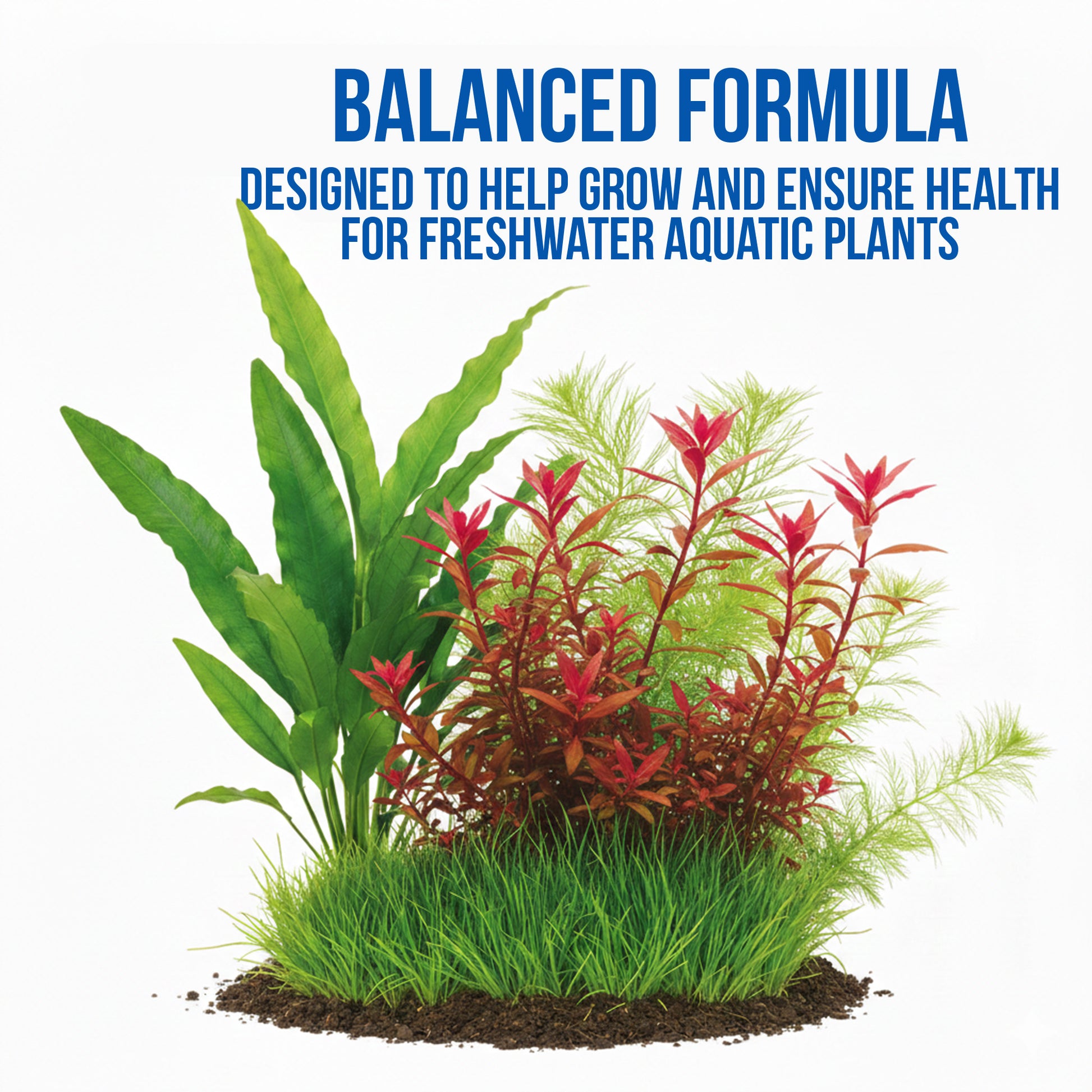Bloom All-in-One Liquid Plant Fertilizer