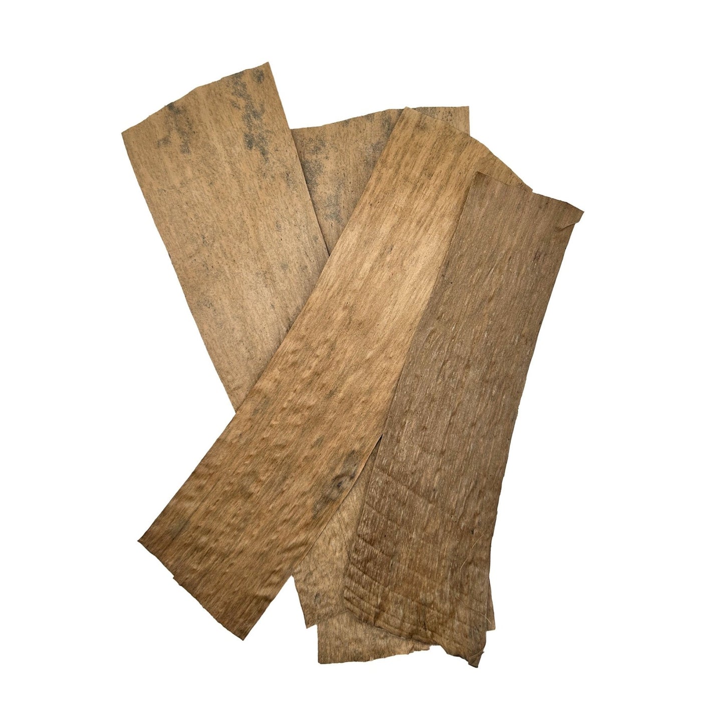 Banana Leaves – Natural Shrimp Tank Decor - Wild Pet Supply