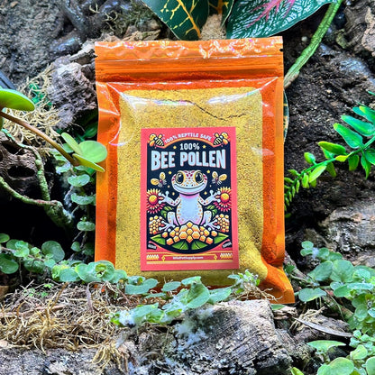 Bee Pollen Powder – Reptile Supplement 3oz - Wild Pet Supply