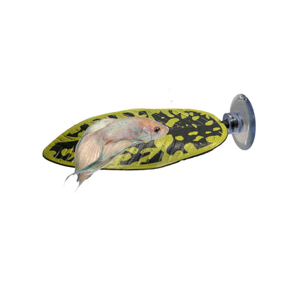 Betta Leaf Hammock – Surface Rest Spot - Wild Pet Supply