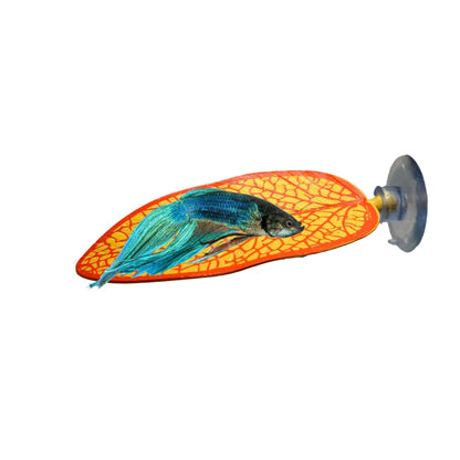 Betta Leaf Hammock – Surface Rest Spot - Wild Pet Supply