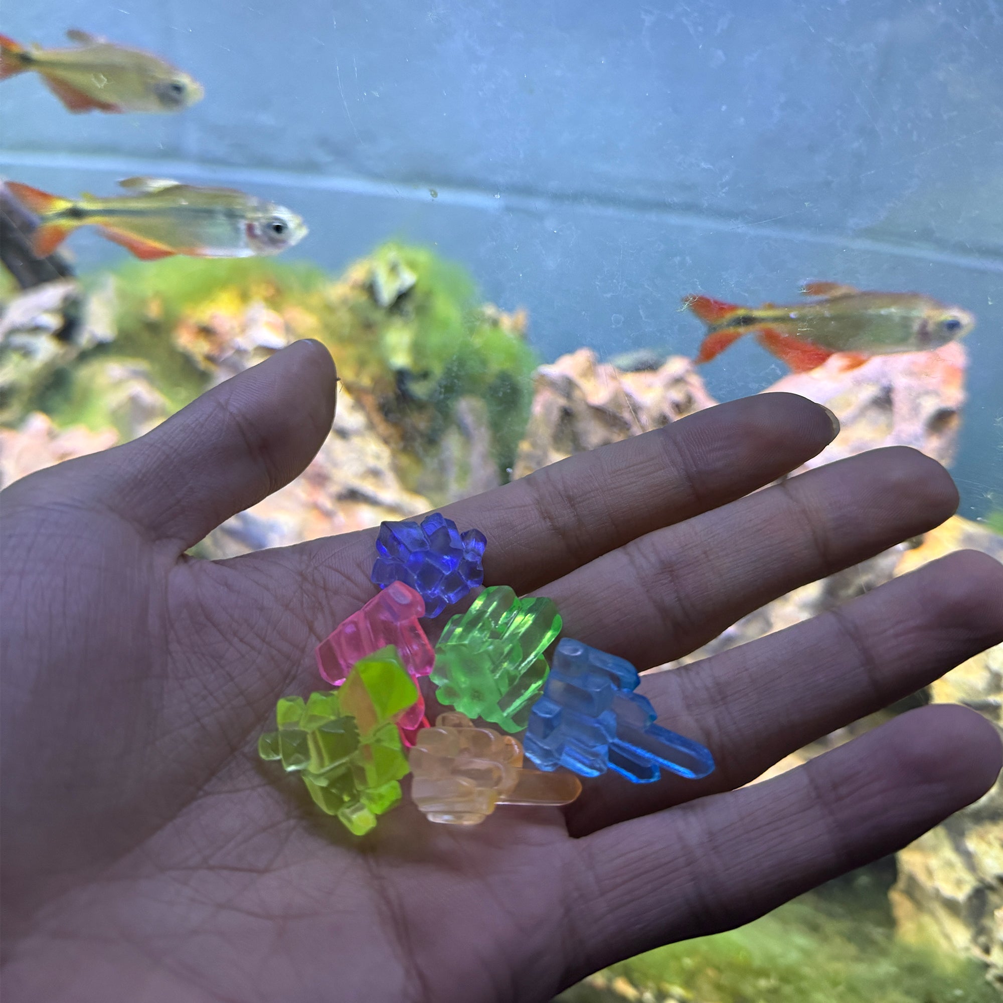 Betta Stones Glow - in - The - Dark – Small Aquarium Decor - Wild Pet Supply