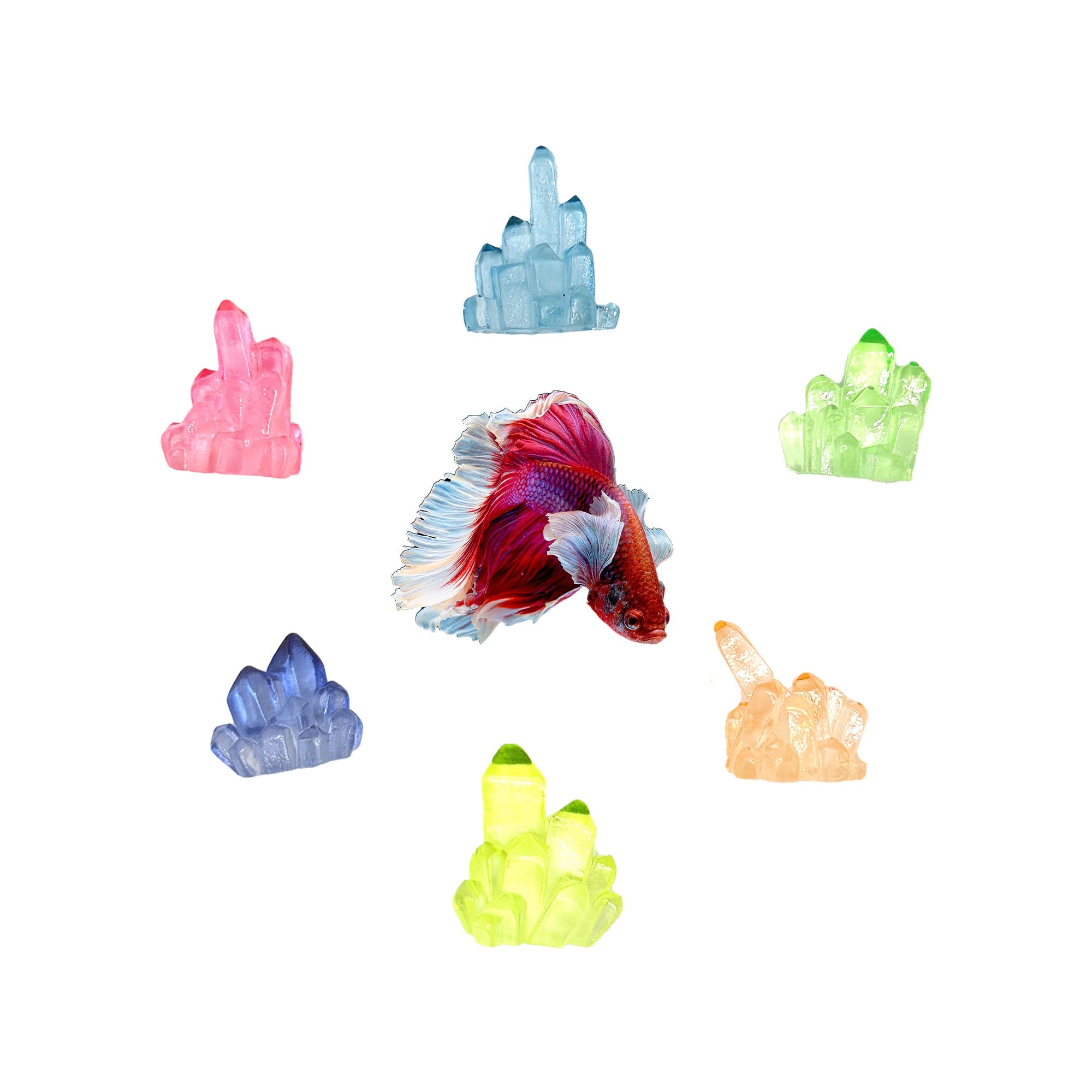 Betta Stones Glow - in - The - Dark – Small Aquarium Decor - Wild Pet Supply