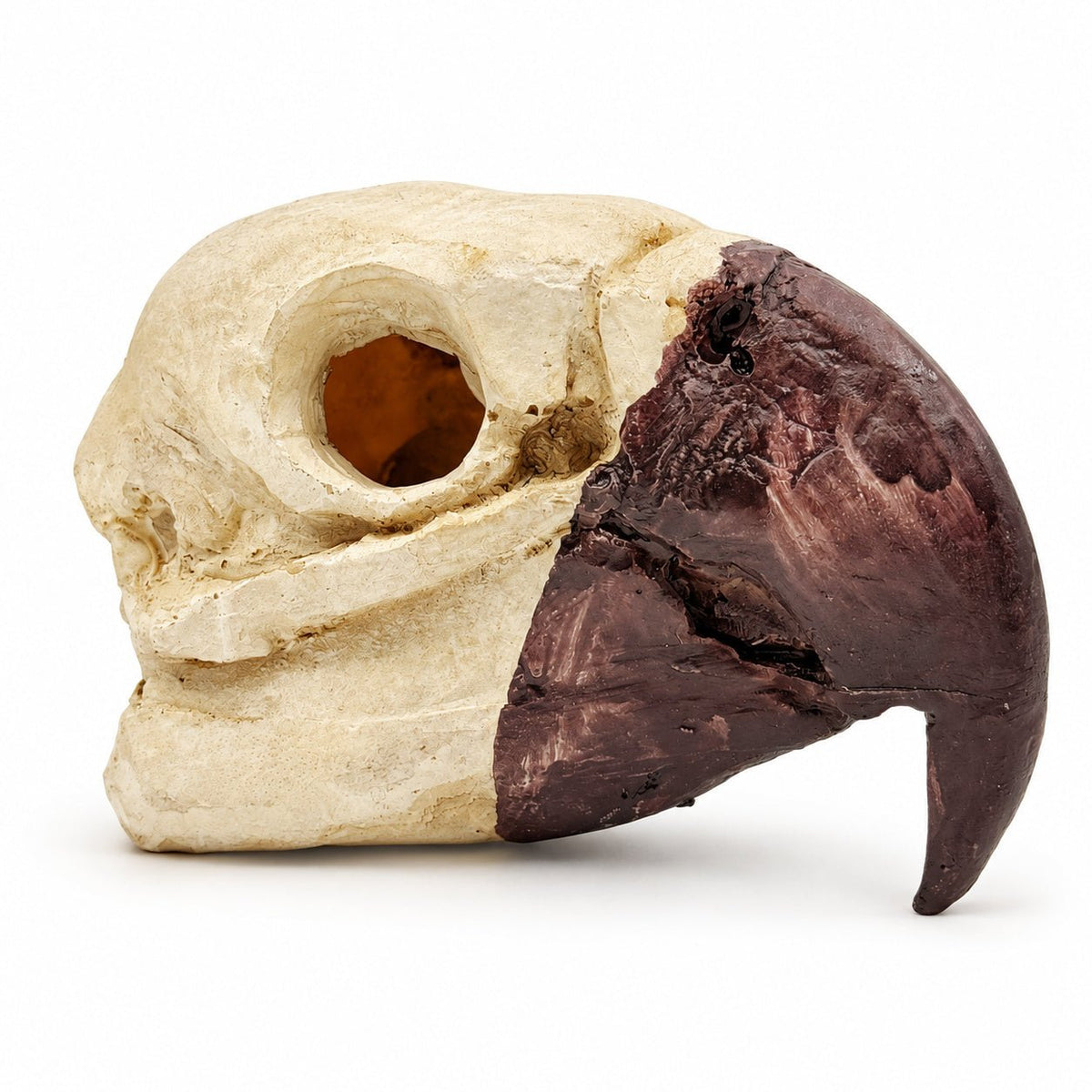 Bird Skull Hide – Jungle Terrarium Decor - Wild Pet Supply