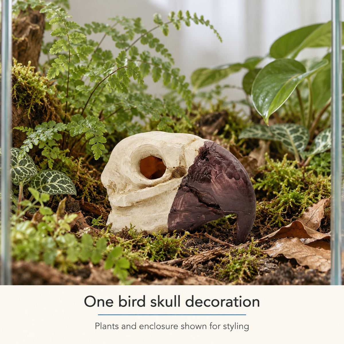 Bird Skull Hide – Jungle Terrarium Decor - Wild Pet Supply