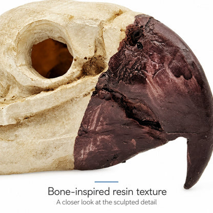 Bird Skull Hide – Jungle Terrarium Decor - Wild Pet Supply