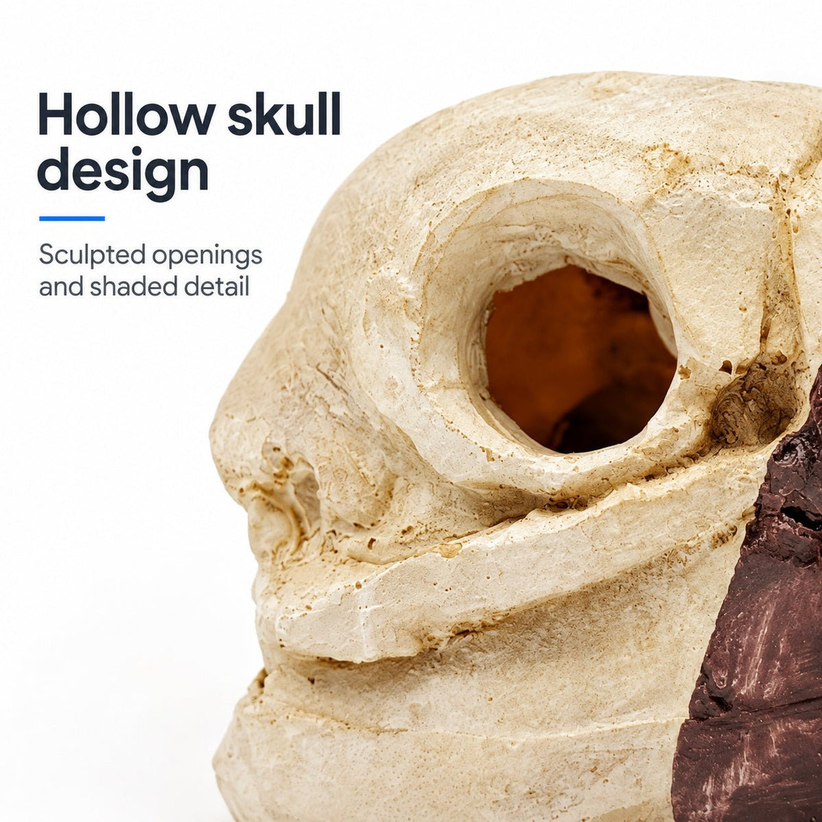 Bird Skull Hide – Jungle Terrarium Decor - Wild Pet Supply