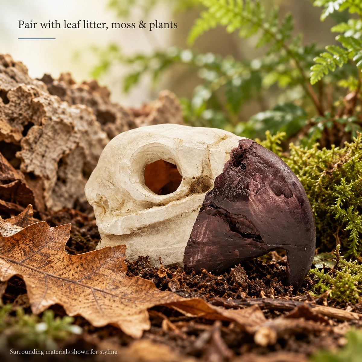 Bird Skull Hide – Jungle Terrarium Decor - Wild Pet Supply