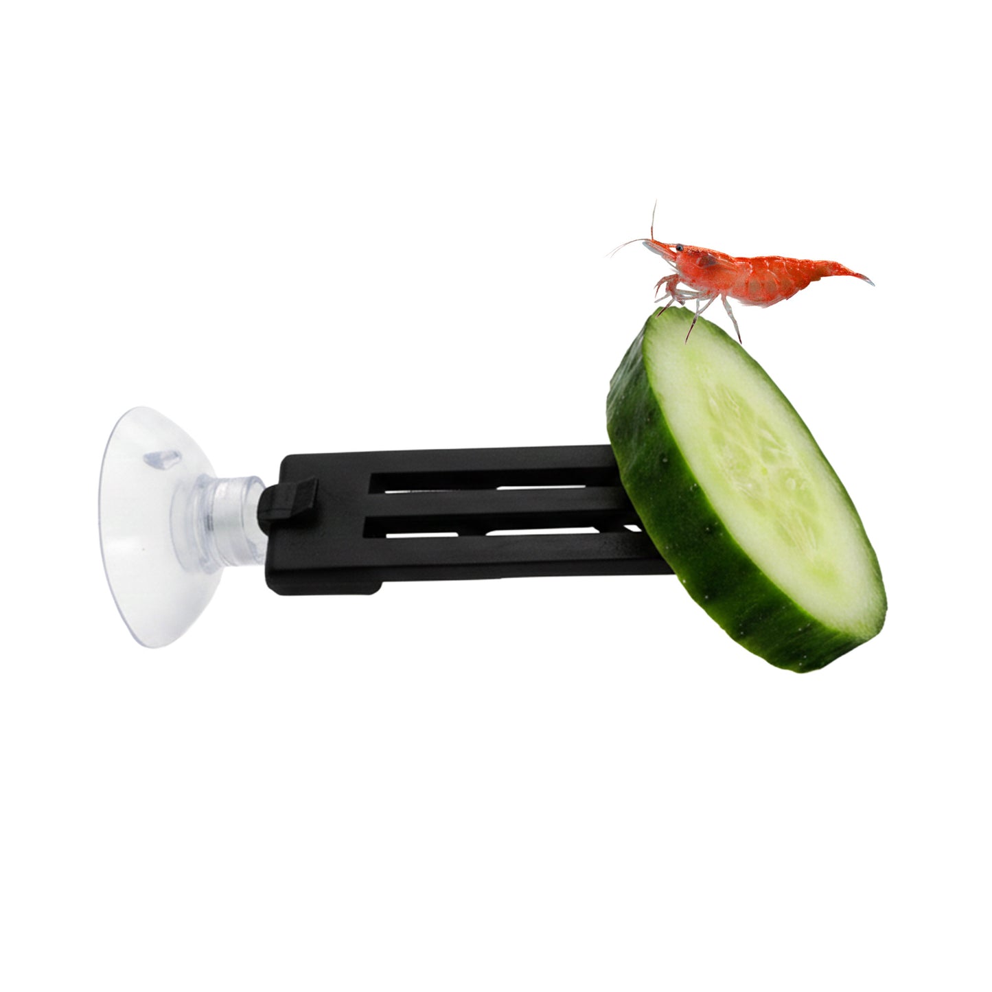 Veggie Pick Food Holder – Suction Cup 2 Pack